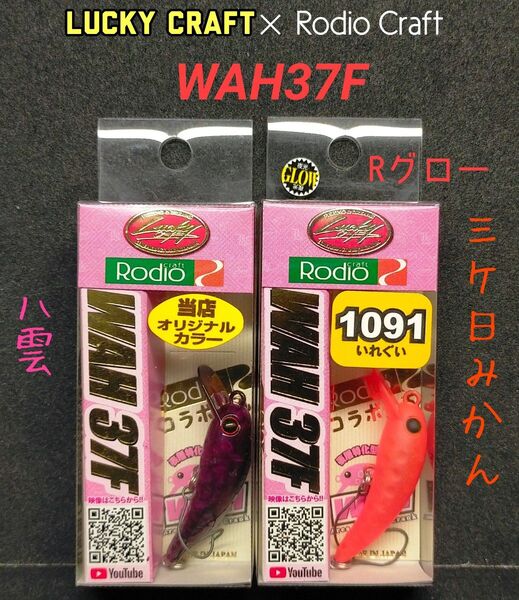 ラッキークラフト ワウ37F オオツカオリカラ 八雲 三ヶ日みかん