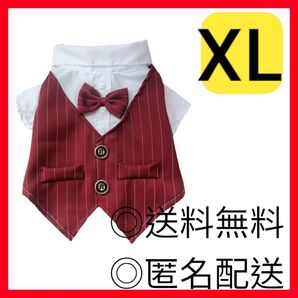 男の子 タキシード オス 雄 冠婚葬祭 結婚式 パーティー お呼ばれ ストライプ かっこいい かわいい 蝶ネクタイ ベスト