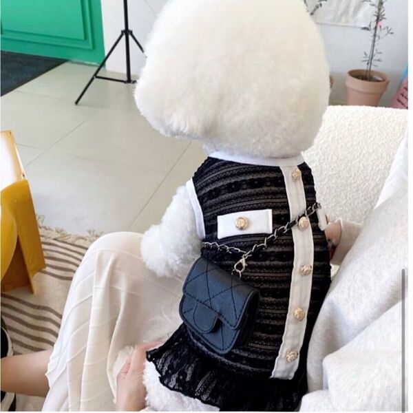 Lサイズ 残り1点 黒 再入荷なし 犬服 ドッグウェア ペットグッズ 女の子 メス メッシュ 金ボタン モノトーン 夏服 涼しい