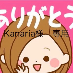 お菓子 和菓子 兆雅せんべい 桜&ちょこれーとヴァッフェル 食べ比べ