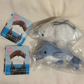 水族館のいきもの イルカ アザラシ