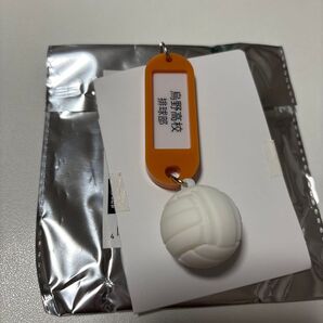 ハイキュー 鍵チャームキーホルダー 烏野高校 FAN PARK