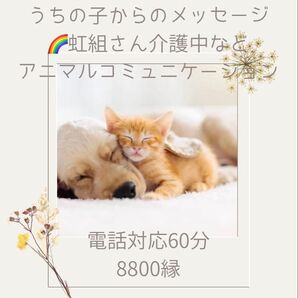 「予約制専用出品」『有形商品』ペットの気持ち 虹の橋からのメッセージ 電話対応60分/8800縁/サンキュメッセージカード付き