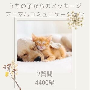 「予約制専用出品」『有形商品』ペットの気持ち 虹の橋からのメッセージ 2質問/4400縁/サンキューメールカード付き
