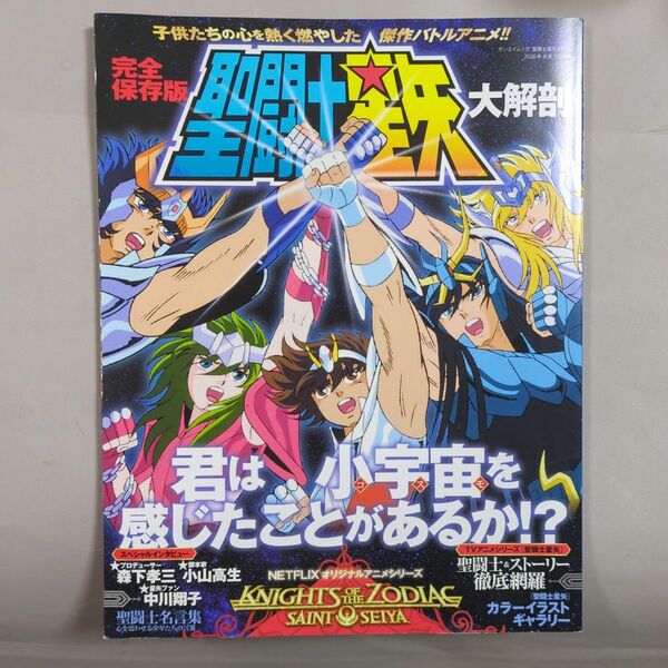 完全保存版聖闘士星矢大解剖