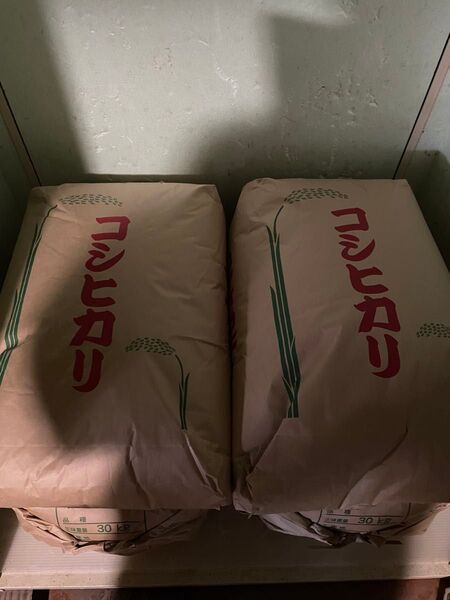 令和6年茨城県産コシヒカリ玄米10kg(精米後9キロ)※備蓄米ではありません。