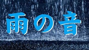 雨の音 効果音 音源/精神の安定 リラックス 熟睡 安眠 くつろぎ/ ヒーリング 精神集中 集中力UP 受験 自己啓発 癒し 瞑想 学習 自然音 睡眠