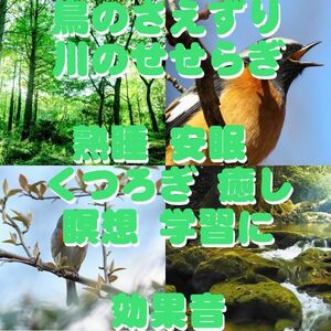 鳥のさえずりと川の音 川のせせらぎ 効果音/精神の安定 リラックス 熟睡 安眠 くつろぎ/睡眠 ヒーリング 精神集中に 癒し 瞑想 学習 自然音