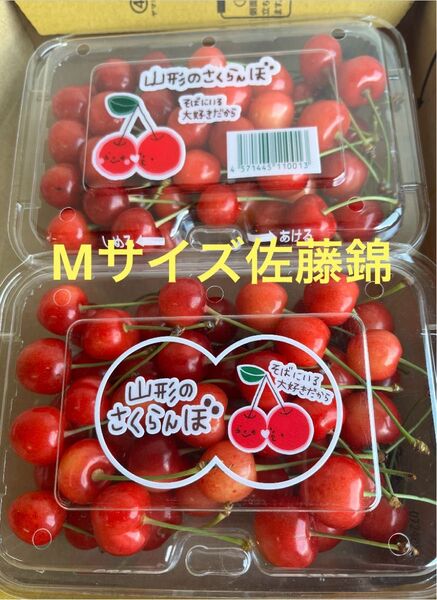 山形県産さくらんぼ 佐藤錦500g以上 パック詰め Mサイズ① 数量限定