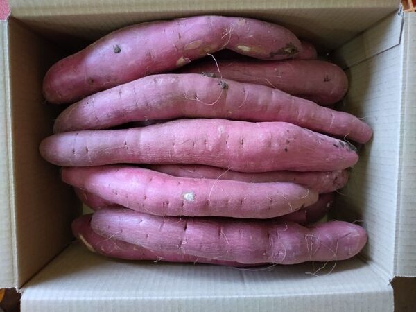 93 さつまいも 紅はるか 洗い Mサイズ 5kg 訳あり