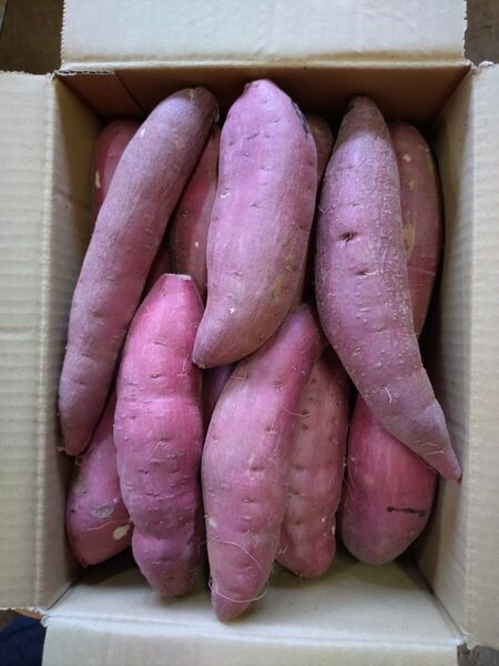 96 さつまいも 紅はるか 洗い Sサイズ 3kg 訳あり