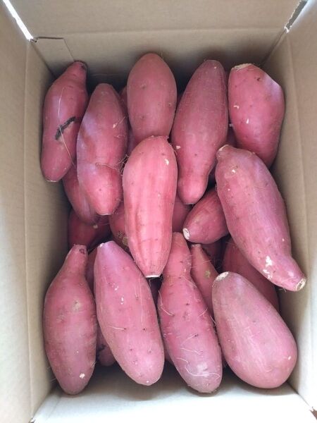 71さつまいも 紅はるか 洗い Sサイズ 5kg 訳あり