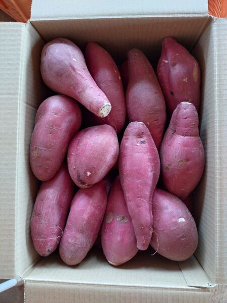 8 さつまいも 紅はるか 洗い Mサイズ 5kg 訳あり