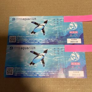 サンシャイン水族館 入場券 2枚