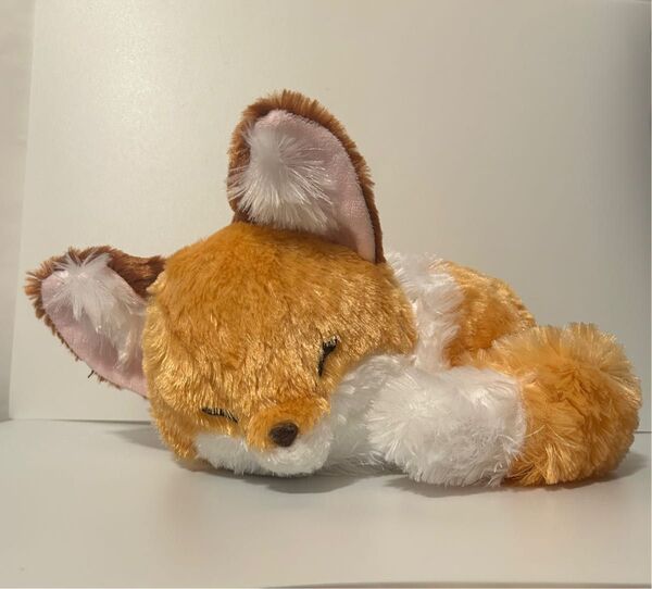 ちょコンとキツネ くるんとおねむ ぬいぐるみ JBサイズ きなこ