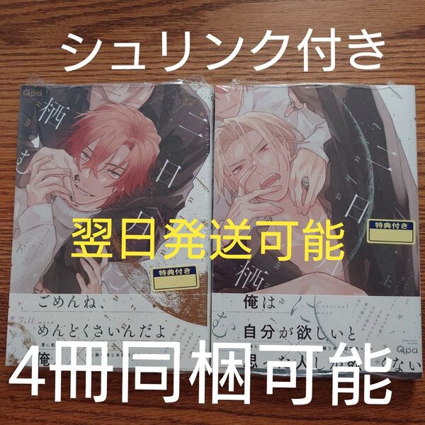 翌日発送します!!新品 2冊セット☆二日月に栖む 上下セット/ミギノヤギ/BL 漫画/帯付き 初版本☆定価1716円