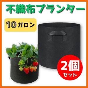 不織布プランター 10ガロン 2個 ブラック 植木鉢カバー 家庭菜園 ポット