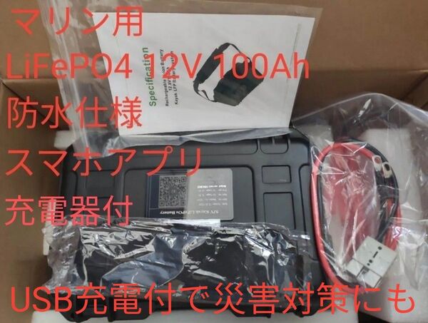 SJY LiFePO4バッテリー 12V 100Ah 充電器付