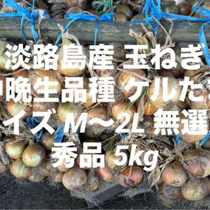 淡路島産 玉ねぎ 中晩生 品種 ケル玉 秀品 5kg サイズM~2L 無選別