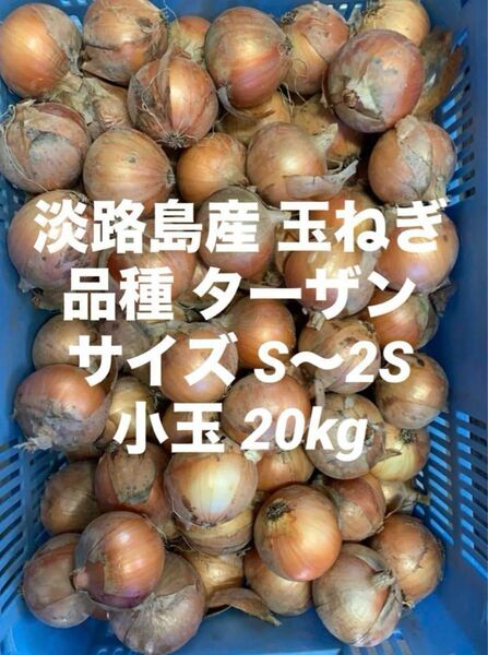 淡路島産 玉ねぎ 品種 ターザン S~2S 規格外 小玉 20kg②