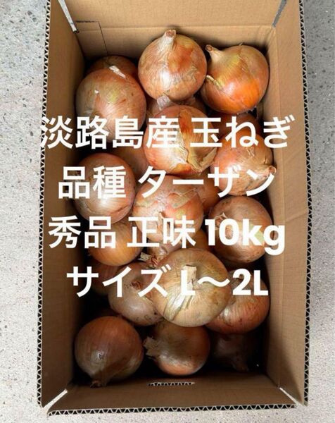 淡路島産 玉ねぎ L~2L 秀品 正味 10kg 品種 ターザン