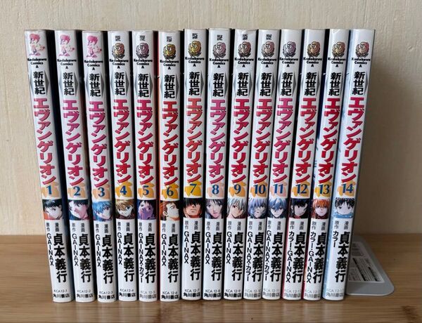 新世紀エヴァンゲリオン 全巻セット