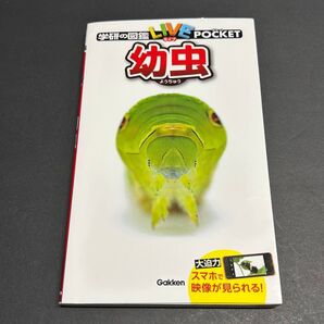 【中古】学研の図鑑ライブポケット 幼虫 Gakken ずかん Live Pocket