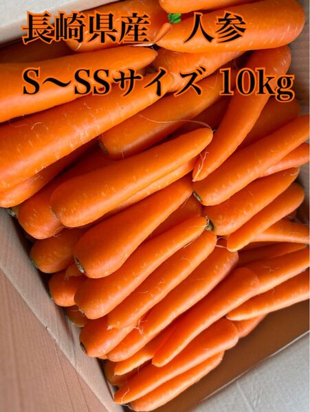 長崎県産 春人参 S~SS人参 10kg(箱込み)