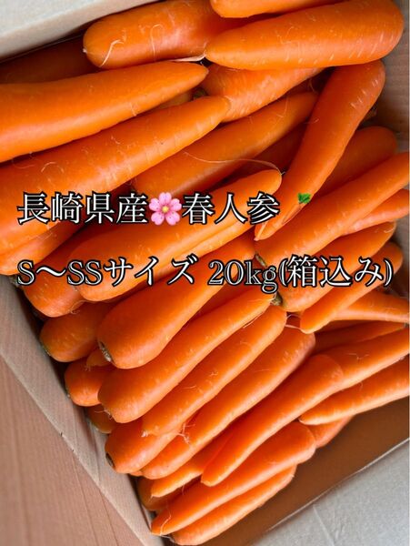 長崎県産 春人参 S~SSサイズ 20kg(箱込み)