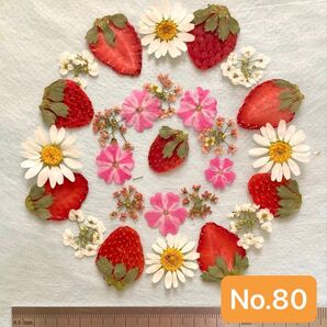 No.80 いちごの押し花素材