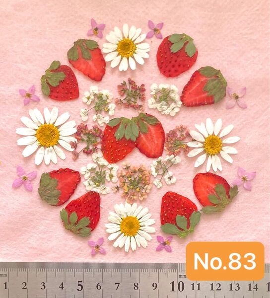 No.83 いちごの押し花素材