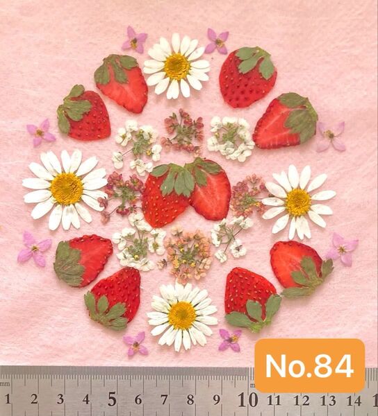 No.84 いちごの押し花素材