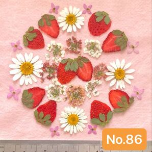 No.86 いちごの押し花素材
