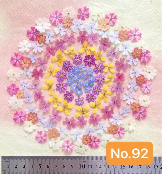 押し花素材 No.92 小花のセット