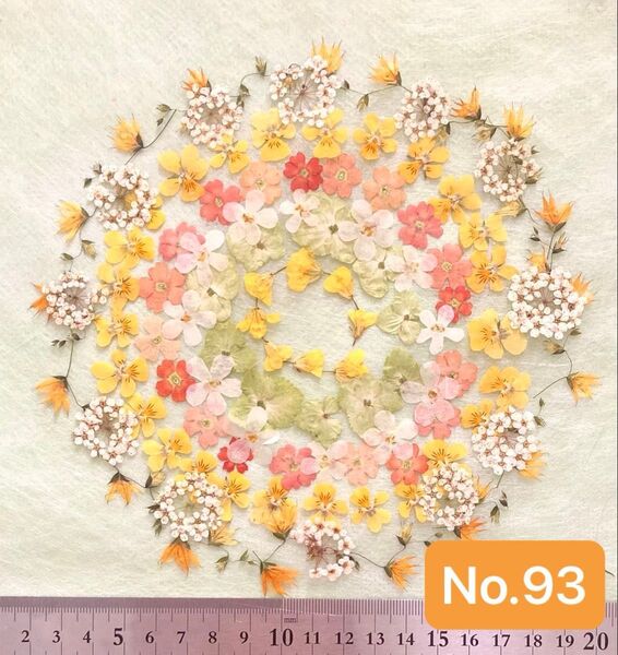 押し花素材 No.93 イエロー系小花のセット