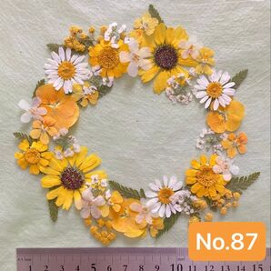 No.87 イエロー系押し花素材