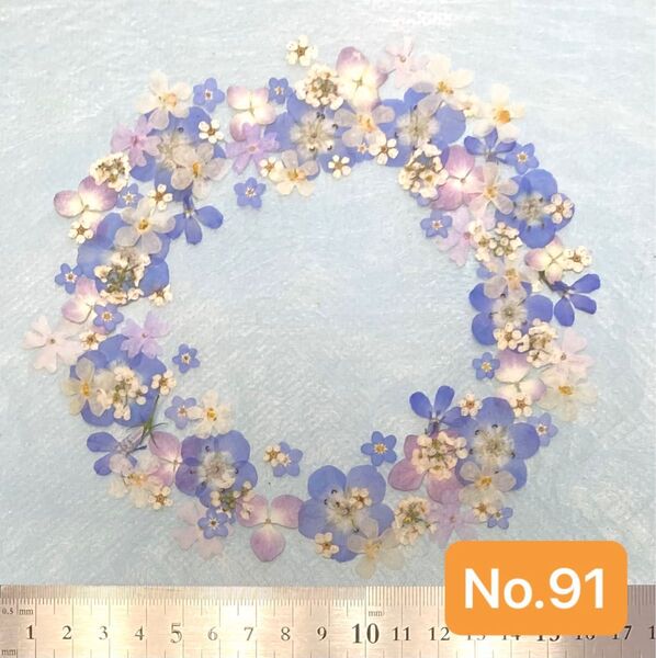 No.91 小さめネモフィラとアジサイの押し花素材
