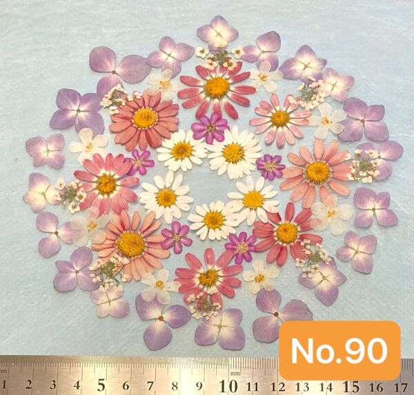 No.90 小さめマーガレットとアジサイの押し花素材