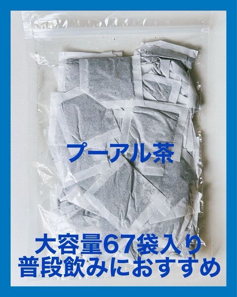 プーアル茶 230g ティーバッグ 水出し 大容量 約67袋入り