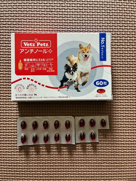 アンチノールプラス 1箱60粒入り未開封と15粒 賞味期限 2027年11月