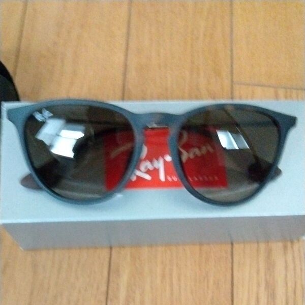 Ray-Ban サングラス エリカ ダークグレー マットブラック
