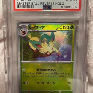 リーフィア テラスタルフェスex PSA10 マスターボールミラー SV8a