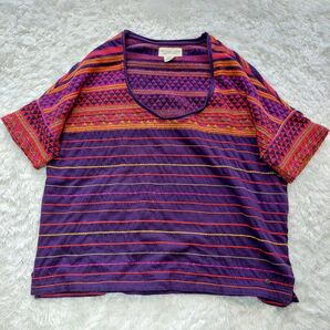 DENIM&SUPPLY RALPH LAUREN トップス プルオーバー 刺繍 半袖 XS