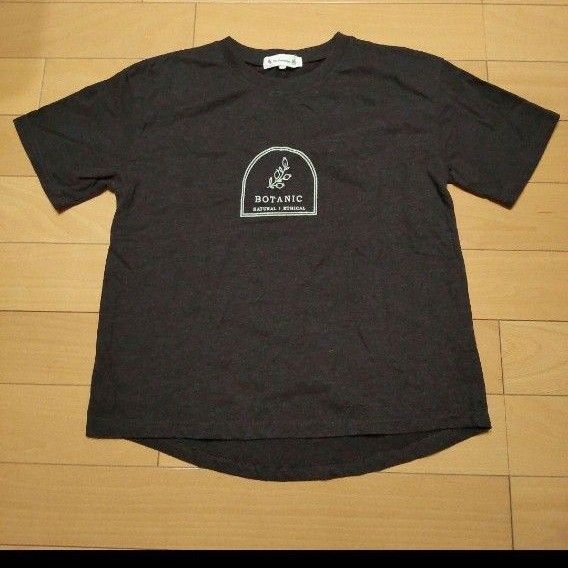 Tシャツ ナチュラル プリントTシャツ ダークブラウン