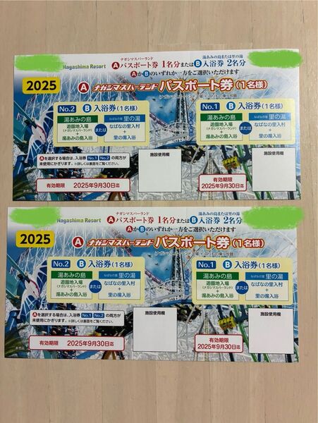 ナガシマスパーランド 入場券 パスポートor入浴券 2枚