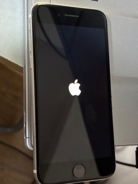 Apple iPhone SE3 ジャンク