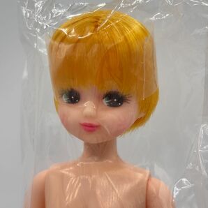 スペシャルリカちゃん ショート系 未使用 リカちゃんキャッスル リトルファクトリー おたのしみドール