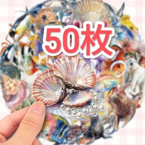 ⑤50枚 海の生き物 背景クリア 防水ステッカー シール