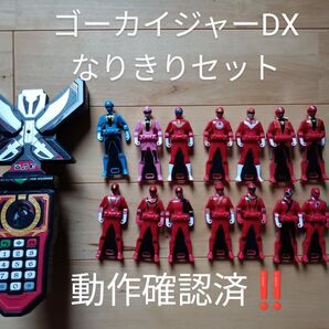 ゴーカイジャーDXなりきりセット