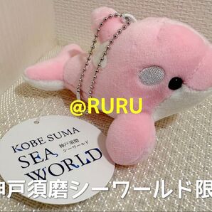 【神戸須磨シーワールド限定】シャチ ぬいぐるみ マスコット ステラ ラン 新品